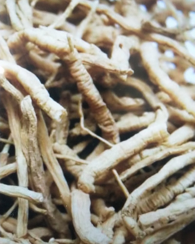 中药材抽芯率高远志远志肉新货无硫支持药