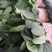 【精品】大叶菠菜大量上市中，优质菜品真诚服务欢迎咨询