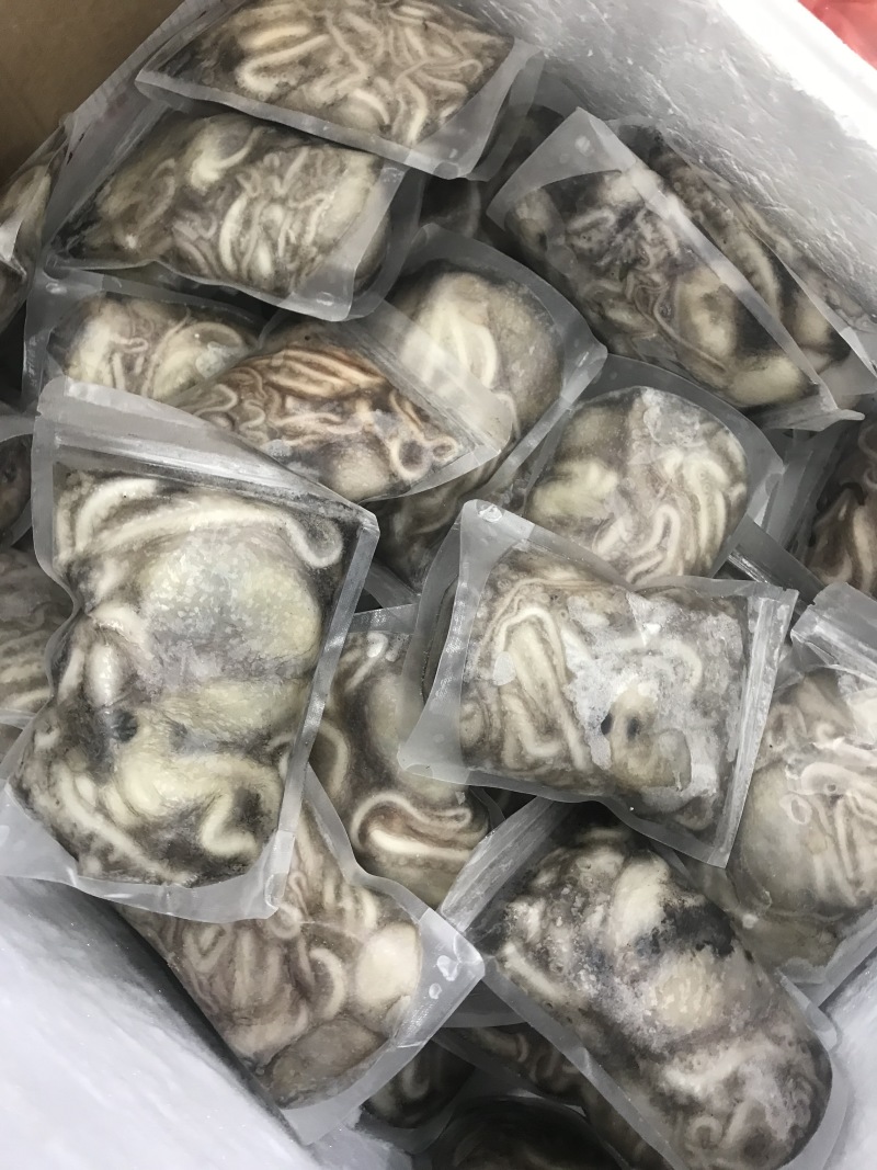 《有好货》爆头八抓鱼鲜活速冻爆头八抓鱼