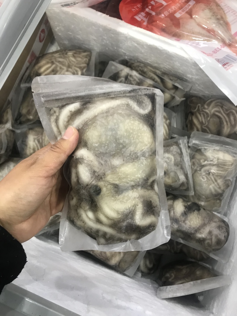 《有好货》爆头八抓鱼鲜活速冻爆头八抓鱼