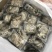 《有好货》爆头八抓鱼鲜活速冻爆头八抓鱼