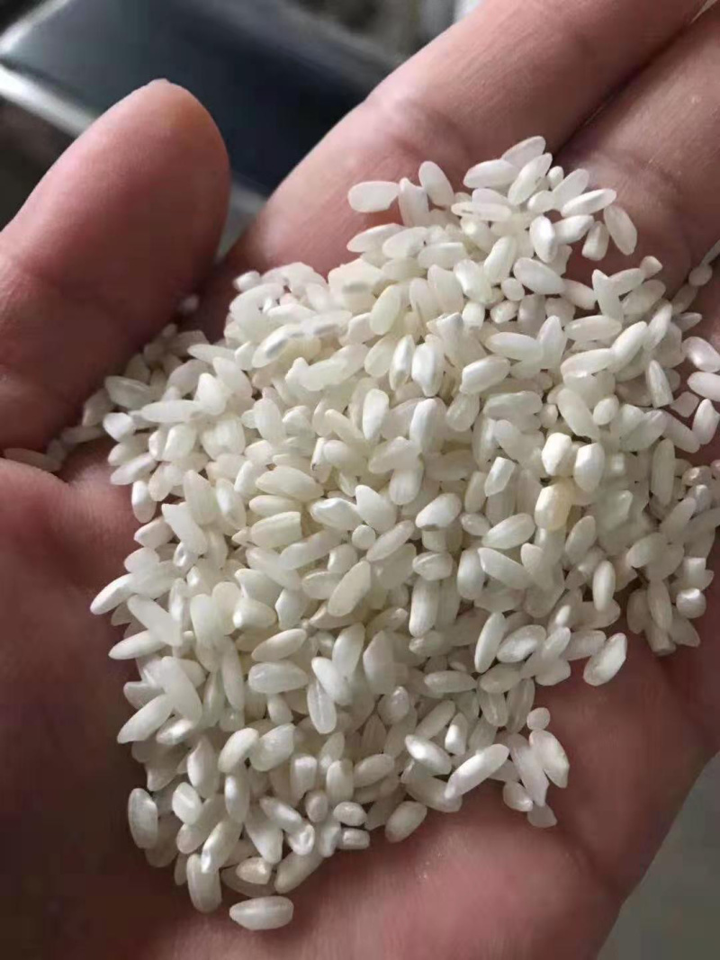 碎米碎米碎米碎米碎米碎米碎米碎米碎米碎米