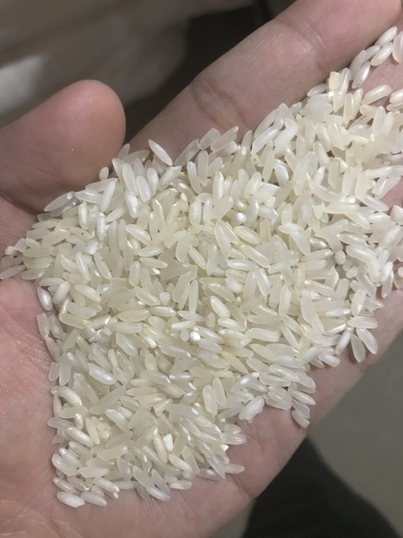 碎米碎米碎米碎米碎米碎米碎米碎米碎米碎米