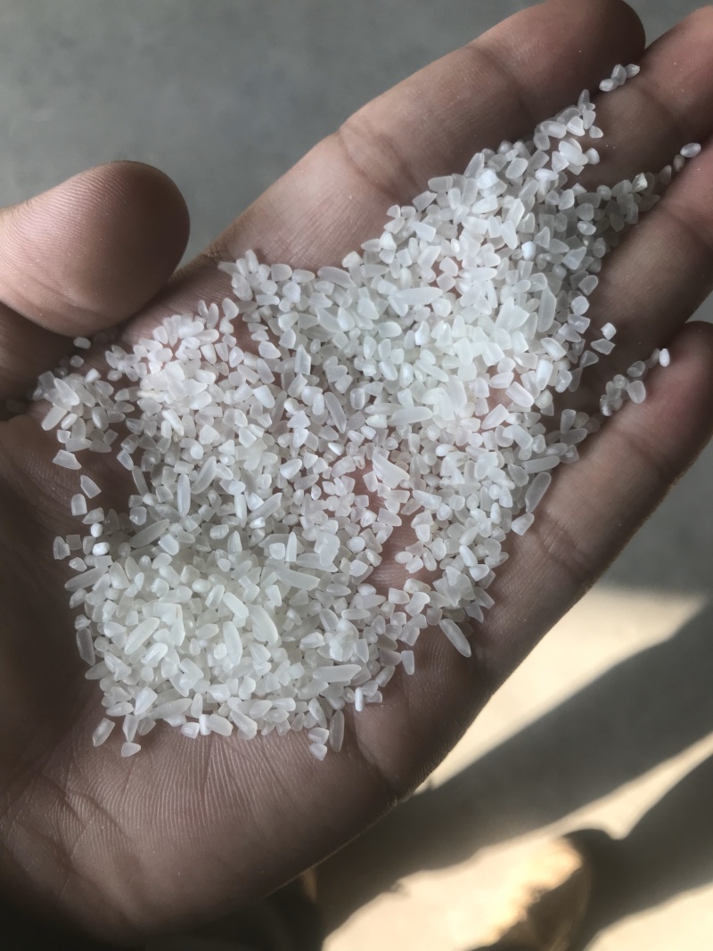 碎米碎米碎米碎米碎米碎米碎米碎米碎米碎米