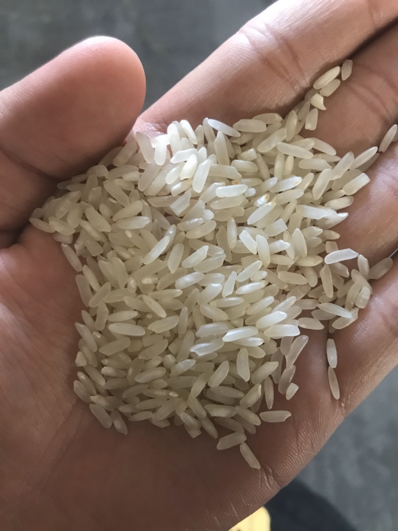 碎米碎米碎米碎米碎米碎米碎米碎米碎米碎米