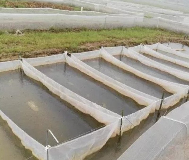 水产养殖，支持技术指导回收。销售