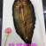 杭酱鲥鱼