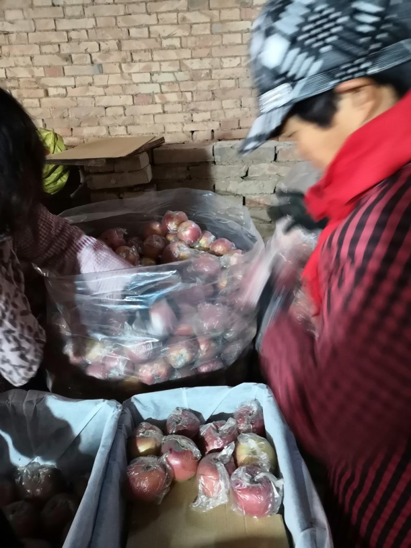 膜袋红富士产地直发一手货源保质保量欢迎随时联系