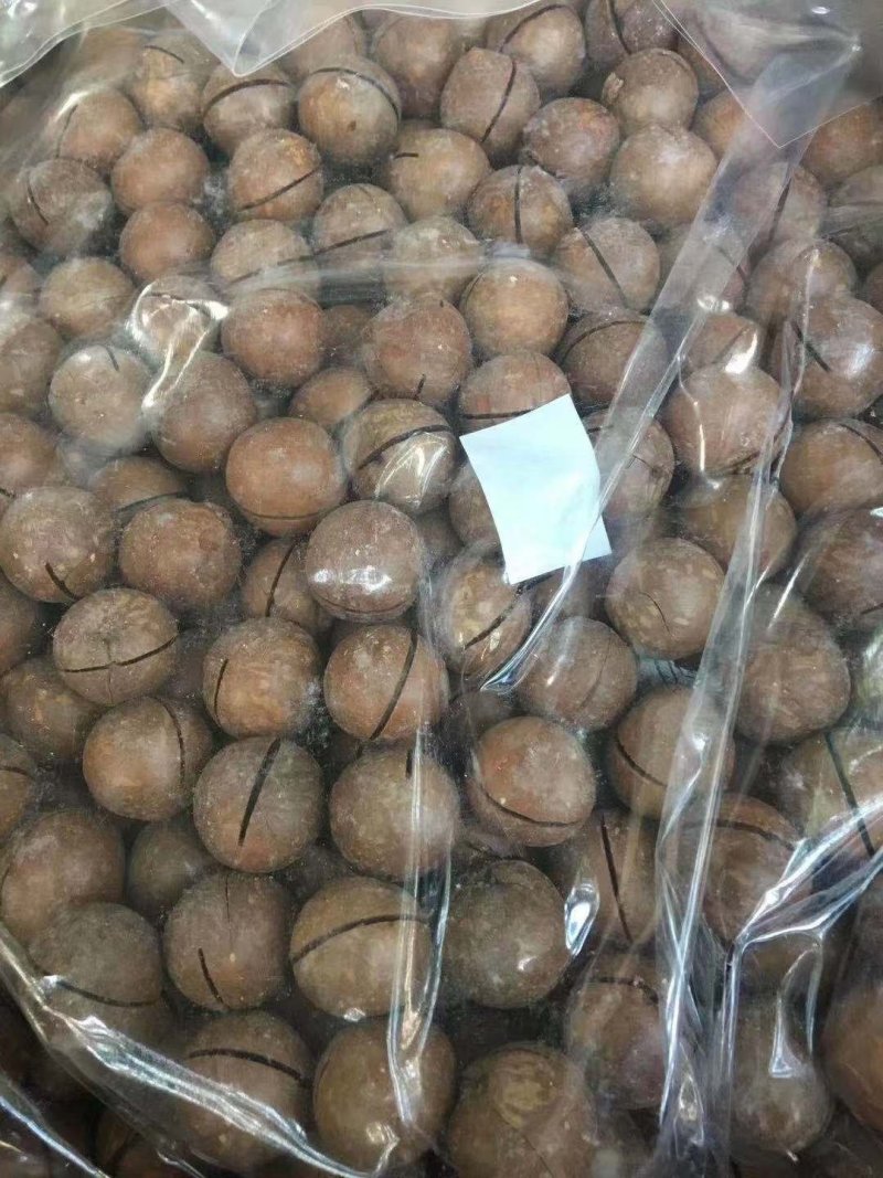夏威夷果