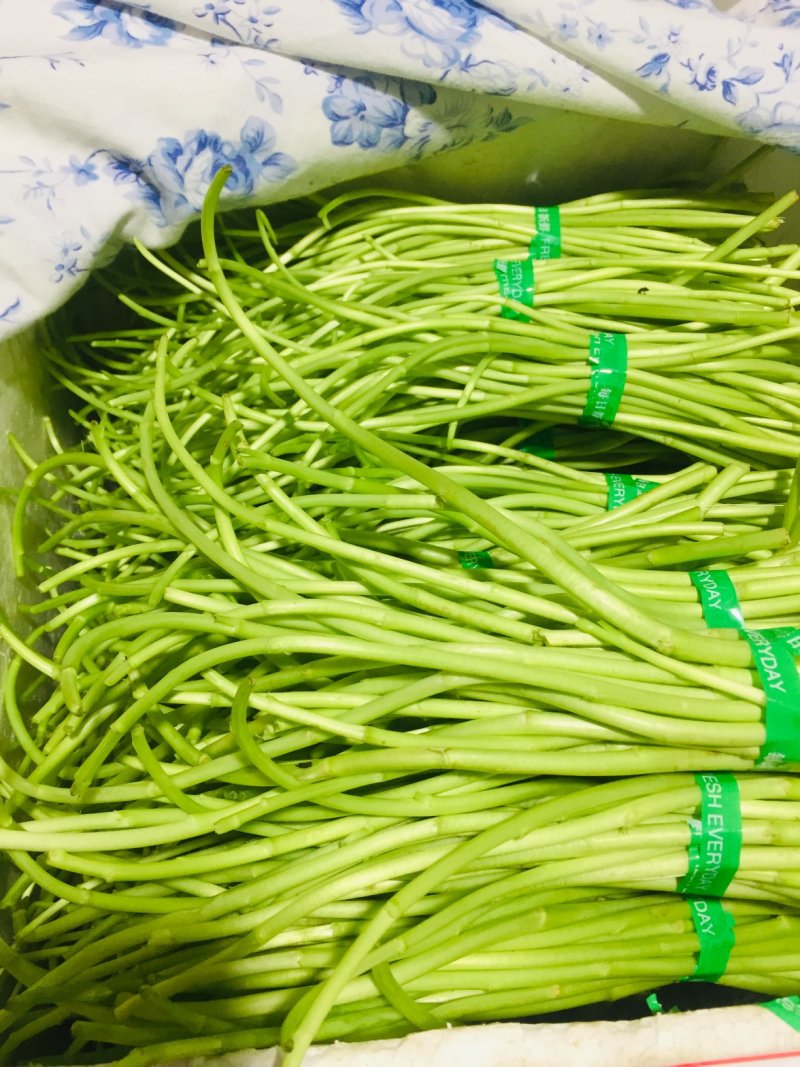 藜蒿新鲜去叶去老根大量批发