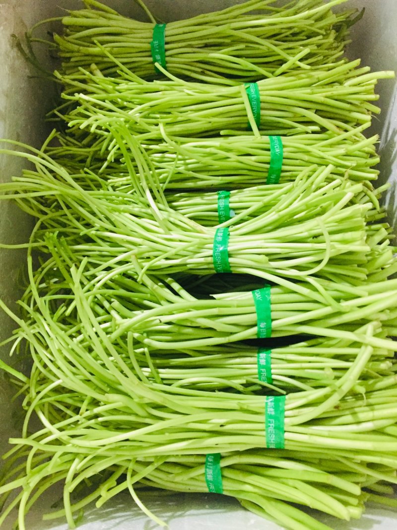 藜蒿新鲜去叶去老根大量批发
