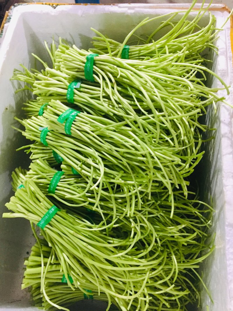 藜蒿新鲜去叶去老根大量批发