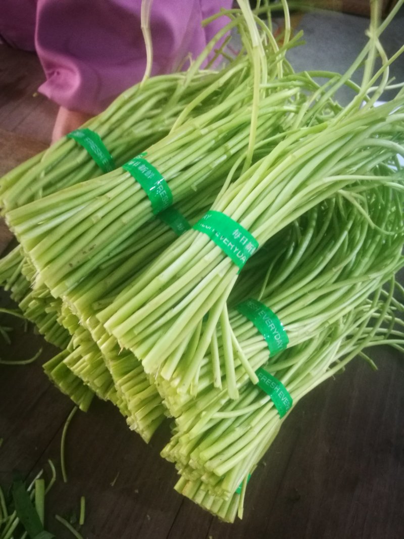 一件代发新鲜藜蒿芦蒿黎蒿蒌蒿泥蒿嫩带叶3斤泡沫箱冰袋
