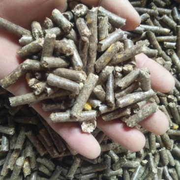 牛羊马专用优质饲料颗粒保证不作假。吃了长膘