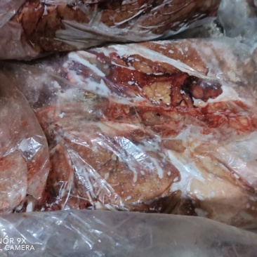 长年批发零售牛胎盘，照片实物拍摄，质量保证