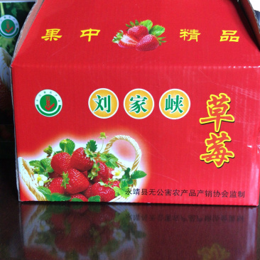 刘家峡草莓