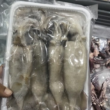 鲜活速冻小鱿鱼，阿根廷鱿鱼鲜活渔船急冻