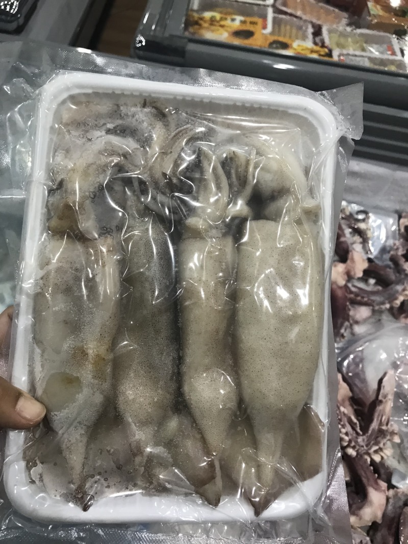 鲜活速冻小鱿鱼，阿根廷鱿鱼鲜活渔船急冻