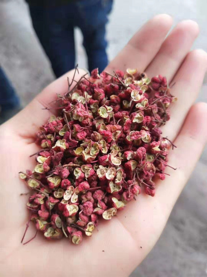 花椒