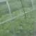防虫网80目可用6年以上整卷出售优惠划算【包邮】