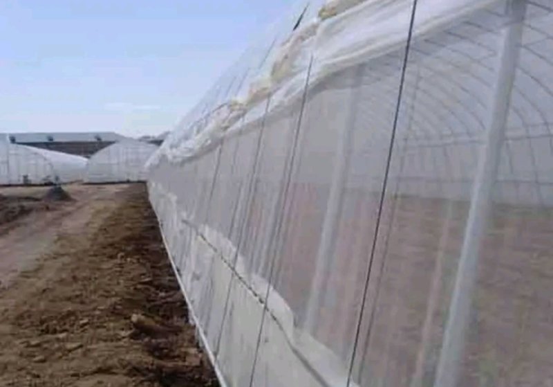 防虫网80目可用6年以上整卷出售优惠划算【包邮】