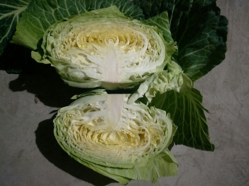 脆包菜连花白2~3公斤产地直供