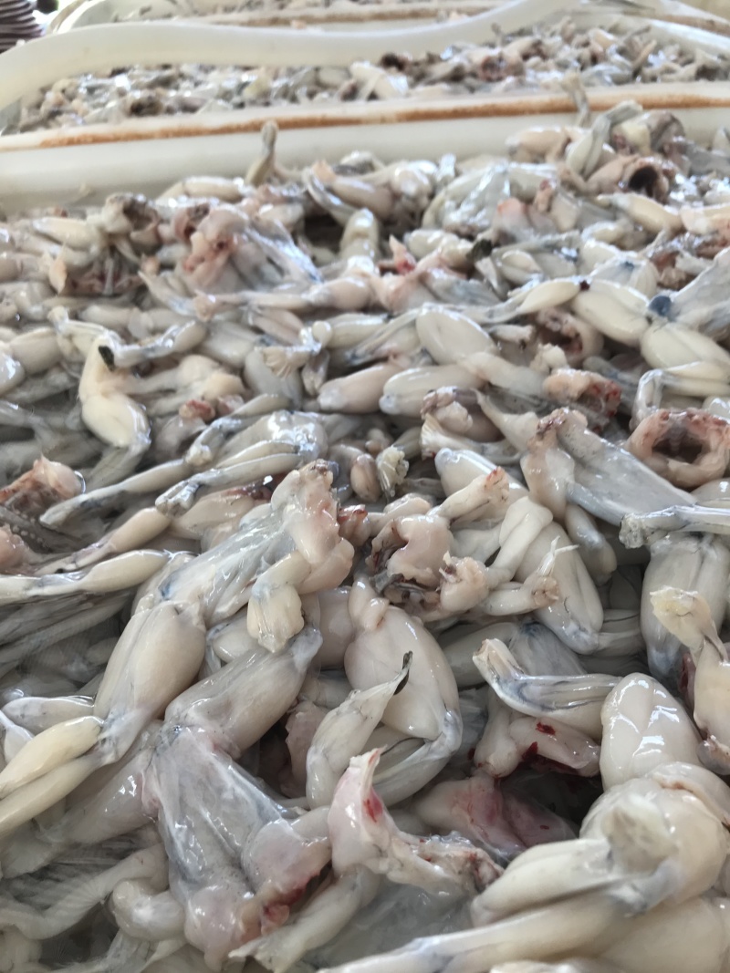 蛙肉，酒店，饭店餐厅，自助餐，学校食堂必备，价格实惠。