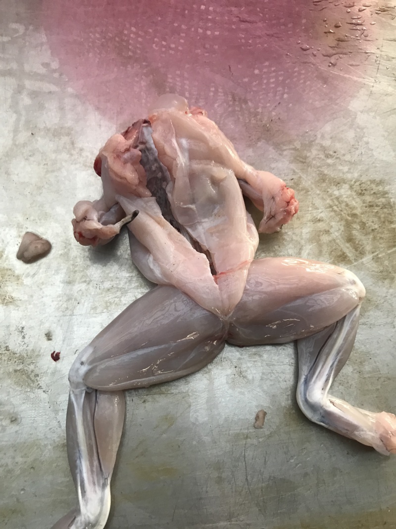 蛙肉，酒店，饭店餐厅，自助餐，学校食堂必备，价格实惠。
