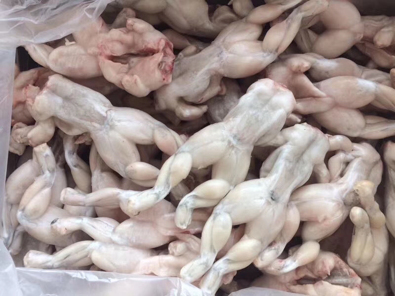 蛙肉，酒店，饭店餐厅，自助餐，学校食堂必备，价格实惠。