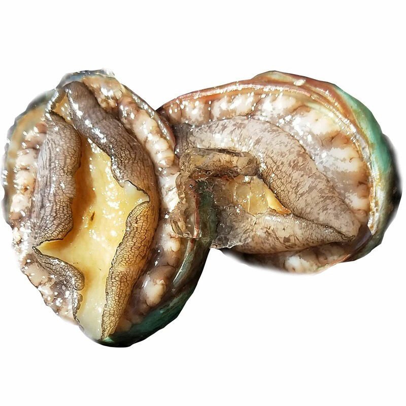 鲍鱼鲜活发货味道鲜美海鲜珍品