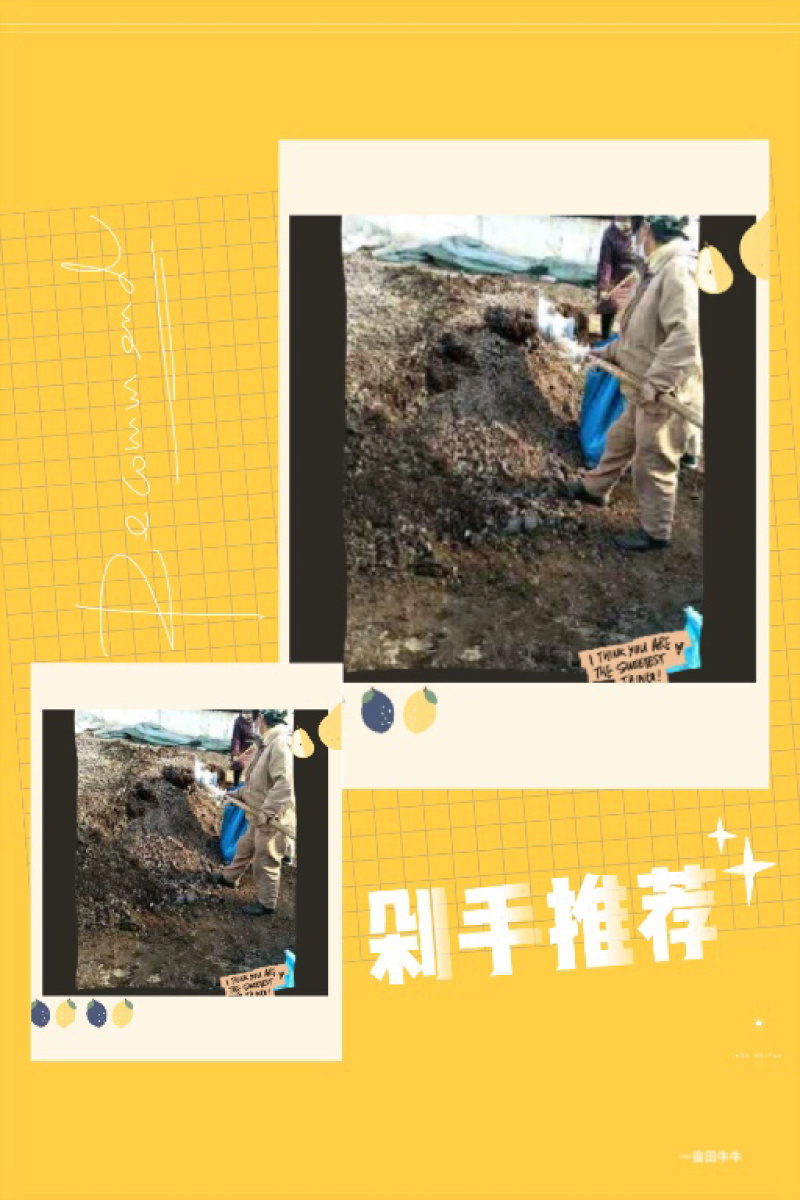 【聚便宜】焦作市农家基地兔粪可支持视频看货，自己一首货