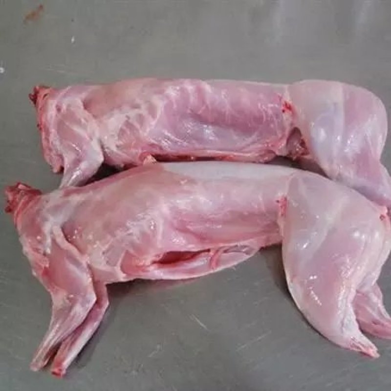 【有好货】烤兔专用白条，新鲜现杀，24小时发货，良心厂家