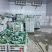 冷库出货西兰花阳光绿雄全国可以发货质量保证品种齐全