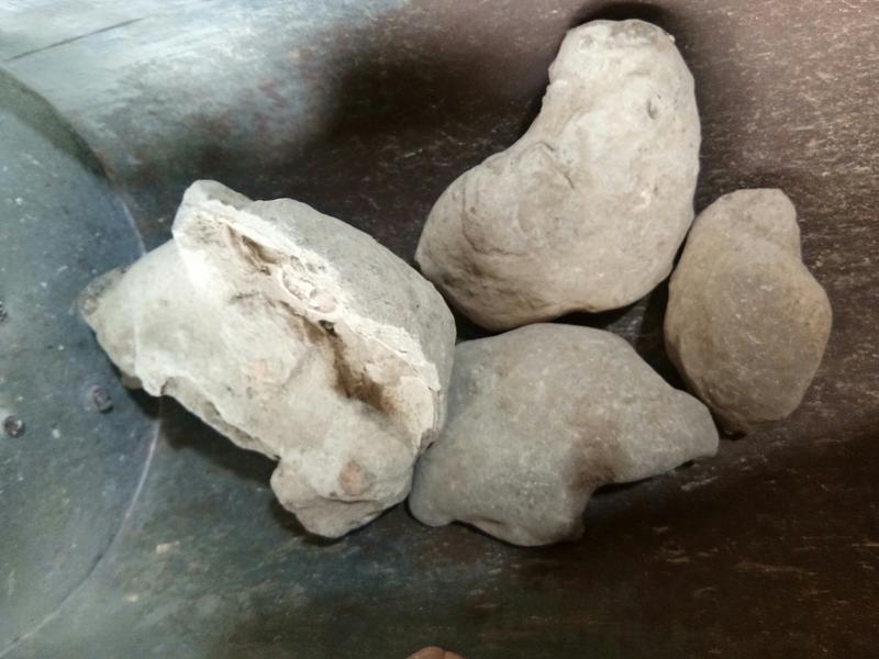 石蟹矿石类中药材天然蟹化石批发零售24小时内发货