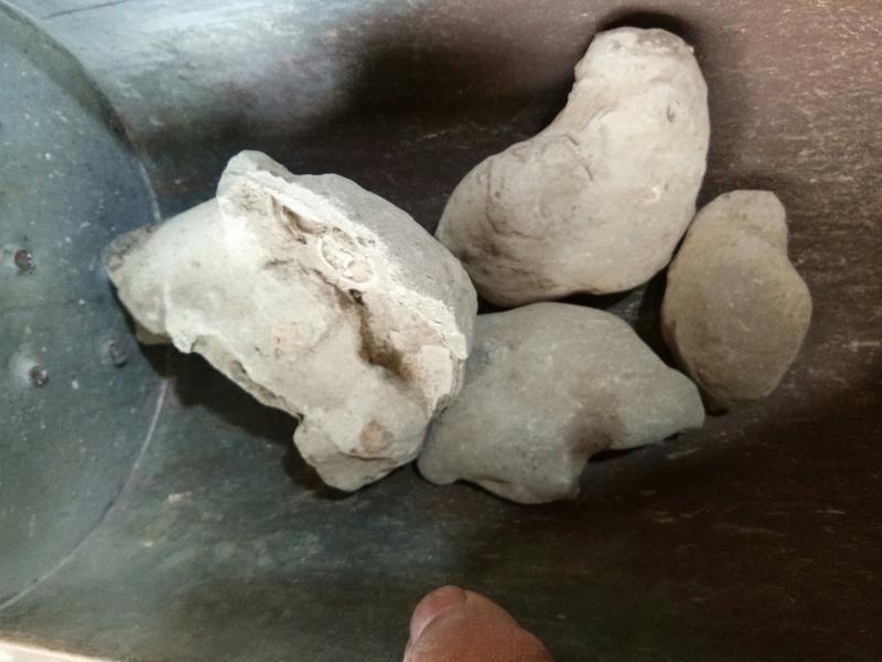 石蟹矿石类中药材天然蟹化石批发零售24小时内发货