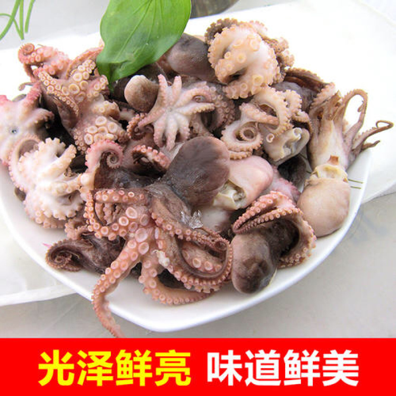 优质半熟章鱼迷你八抓鱼八带鱼