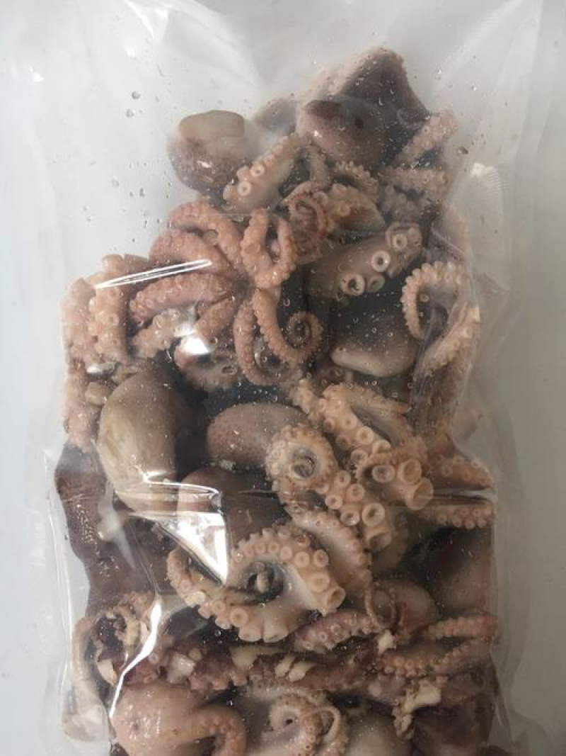 优质半熟章鱼迷你八抓鱼八带鱼