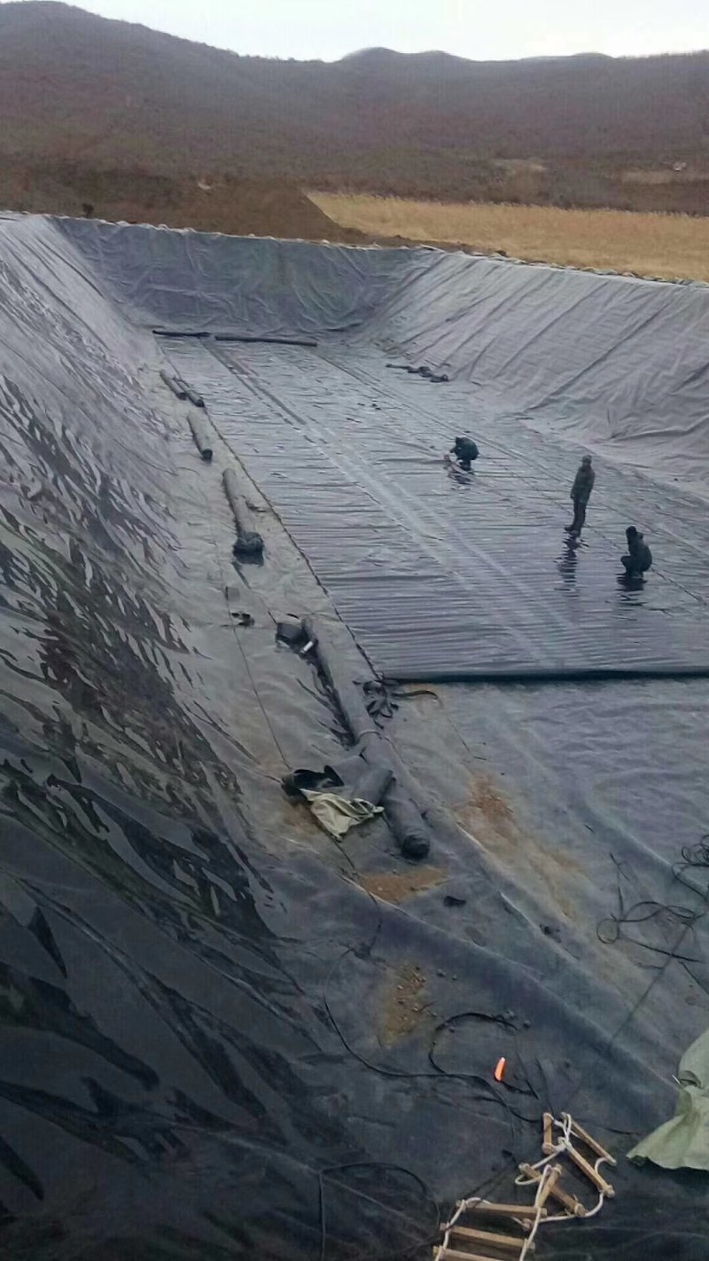 防水膜水产养殖鱼塘水池护坡虾池防参膜hdPe土工膜
