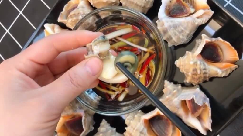 《有好货》地笼海螺不同规格海螺海螺地龙货