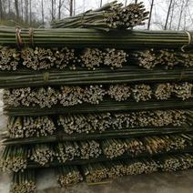 竹林长期供应各种菜架竹，有白竹，楠竹，水竹，苦竹，贵竹。