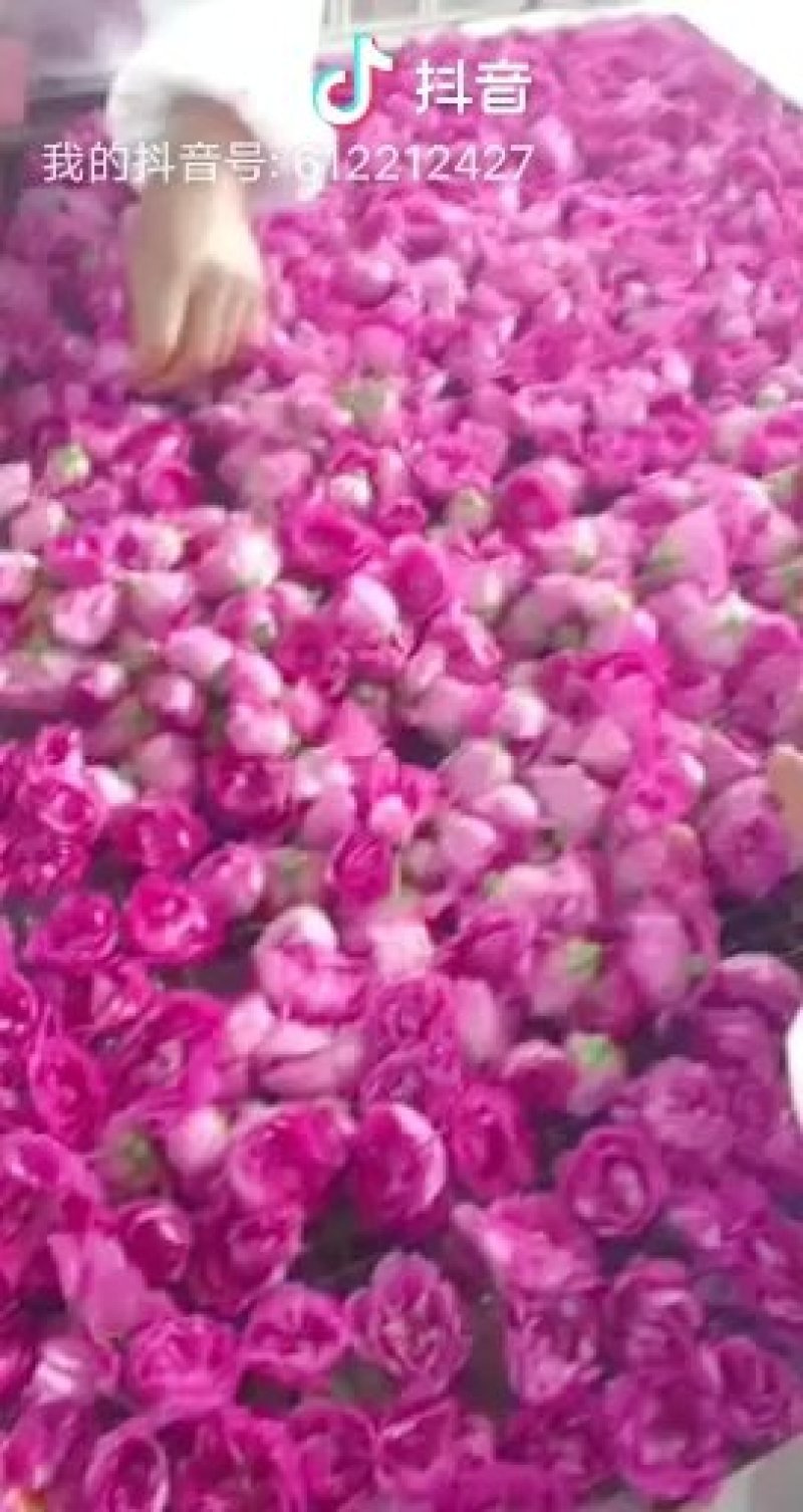 平阴食用玫瑰干花瓣花瓣碎干玫瑰花干花茶阿胶糕糕点