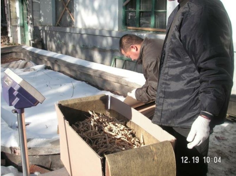 【西洋参软支片】正宗西洋参纯软支低残片大全双零出口标准