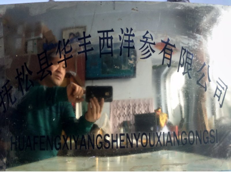 【西洋参软支片】正宗西洋参纯软支低残片大全双零出口标准