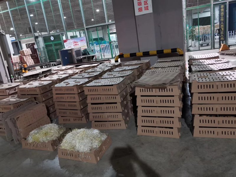 芦花鸡苗，孵化场直销，质量保证。包运输成活