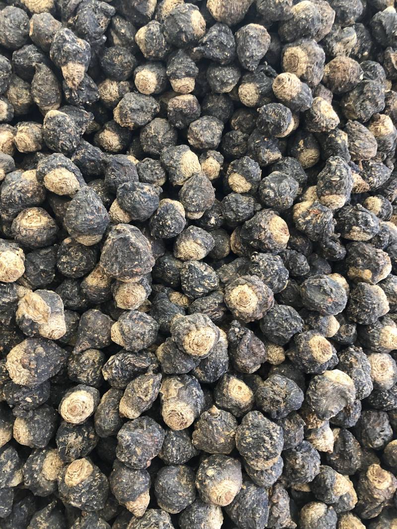 黑玛卡精品果，颜色黑，果形好