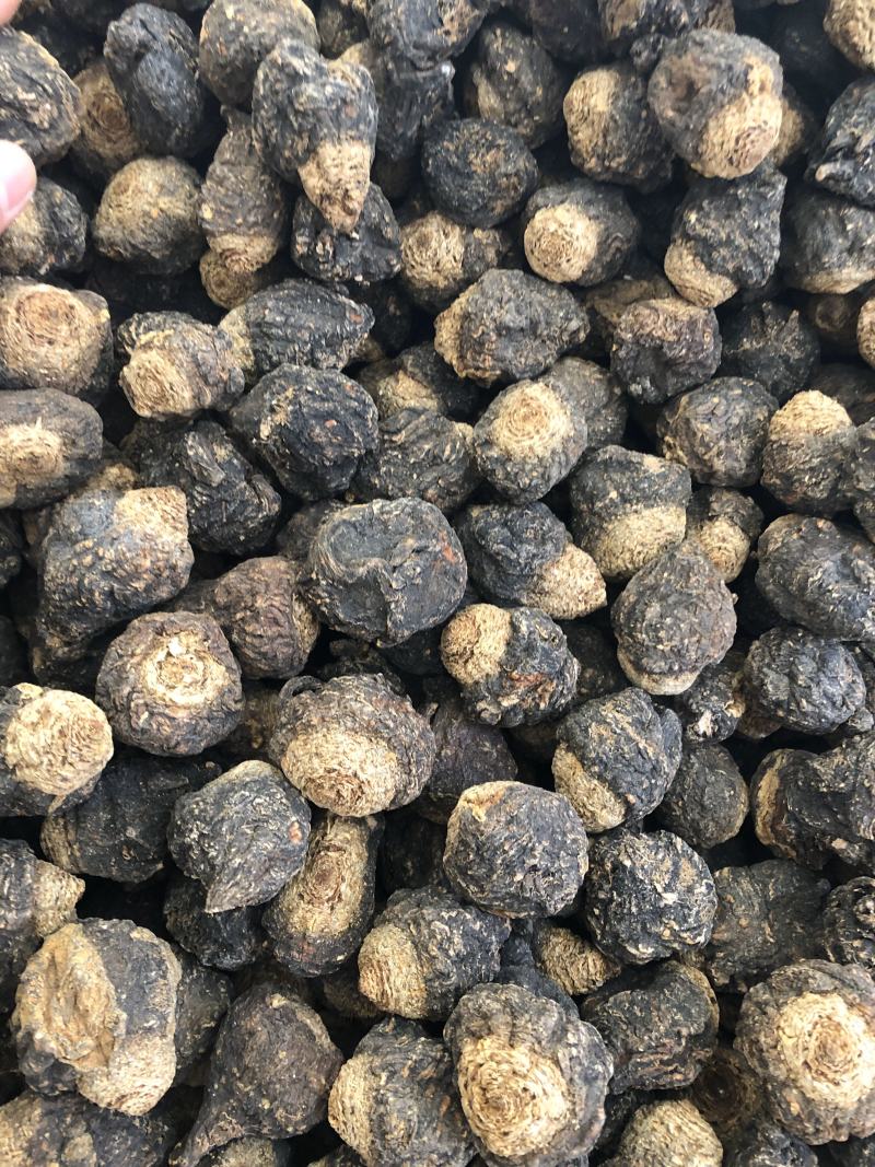 黑玛卡精品果，颜色黑，果形好