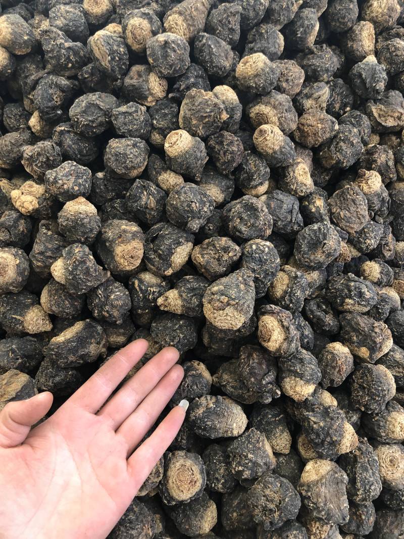 黑玛卡精品果，颜色黑，果形好