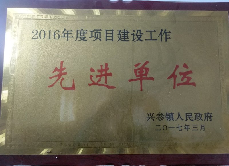 【西洋参软支片】自产自加工西洋参纯软支片大全