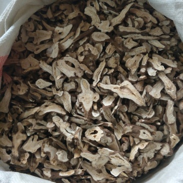 一年白术片