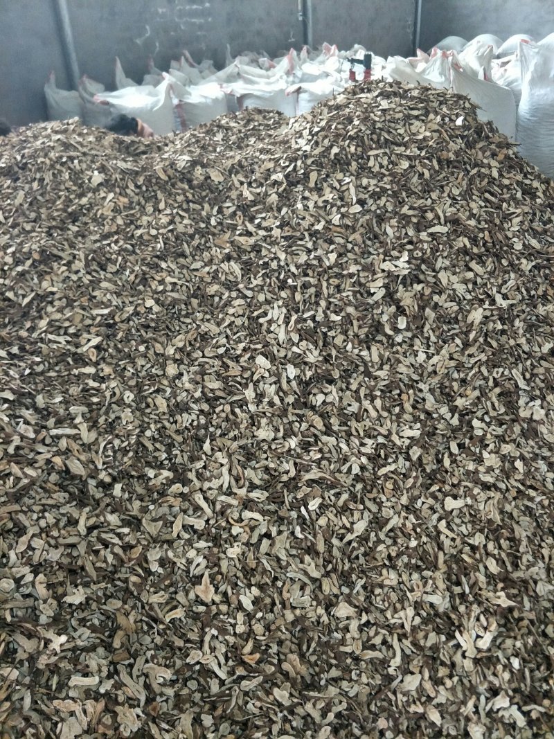 一年白术片